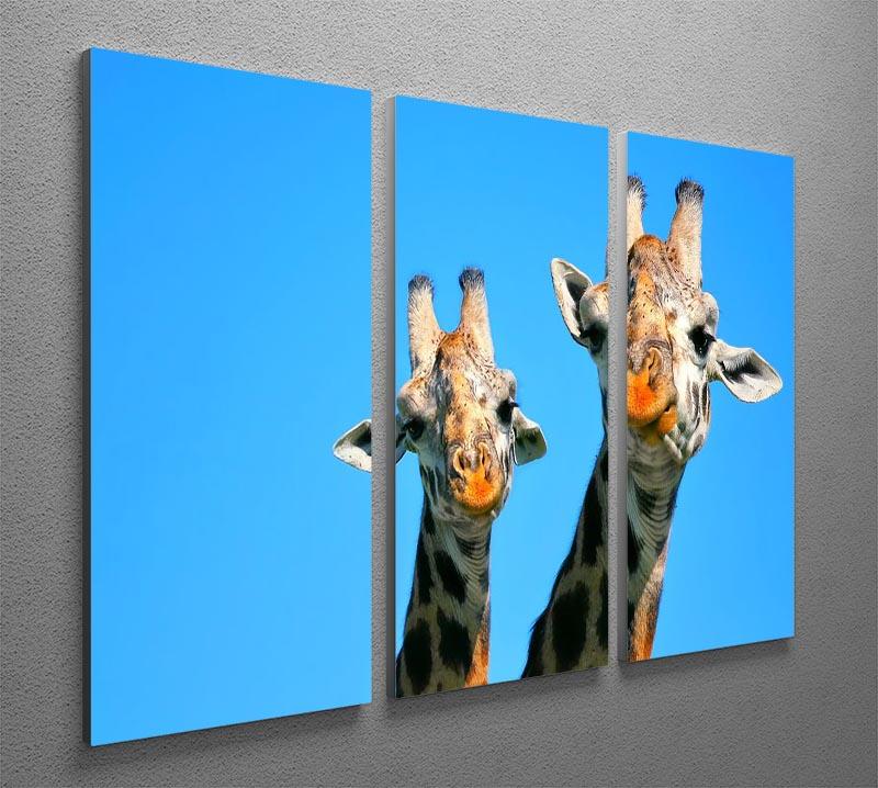 Portrait of mother and baby giraffe. Africa. Kenya 3 Split Panel Canvas Print - Canvas Art Rocks - 2