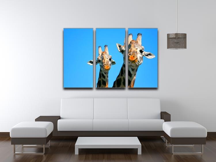 Portrait of mother and baby giraffe. Africa. Kenya 3 Split Panel Canvas Print - Canvas Art Rocks - 3