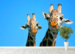 Portrait of mother and baby giraffe. Africa. Kenya Wall Mural Wallpaper - Canvas Art Rocks - 4