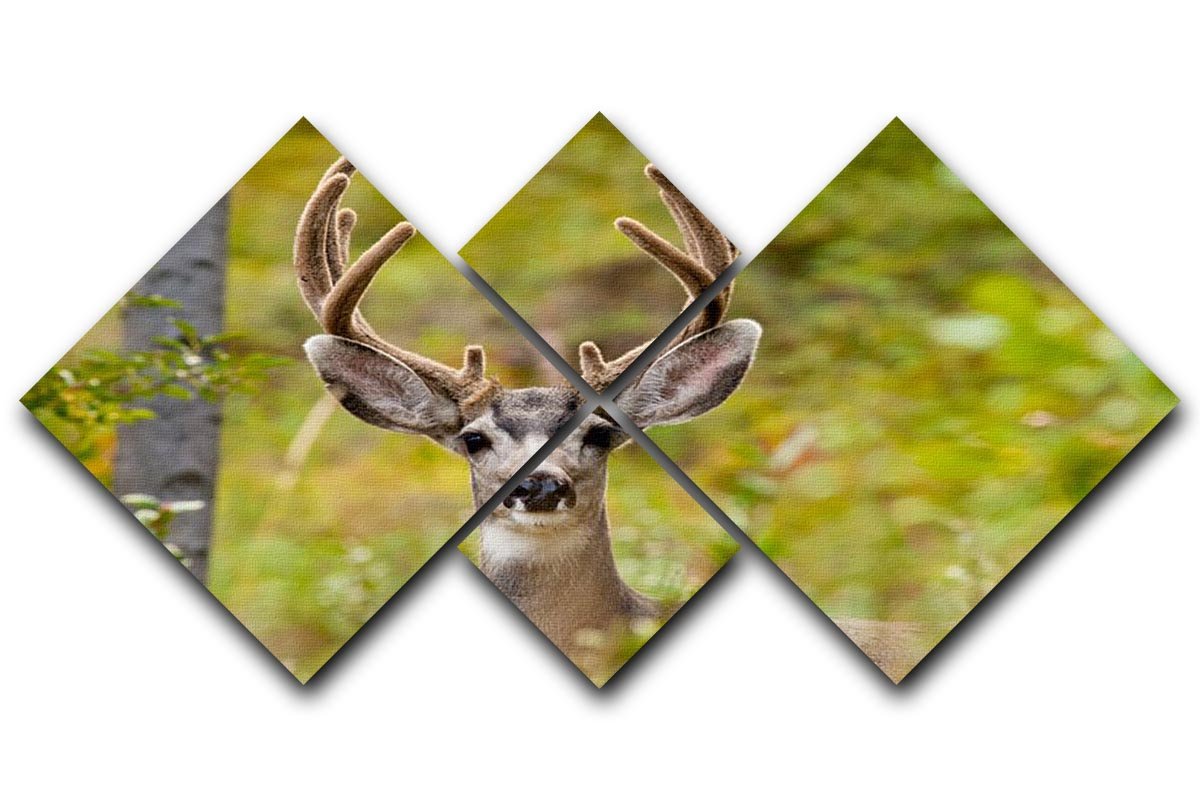 Portrait of mule deer buck 4 Square Multi Panel Canvas - Canvas Art Rocks - 1