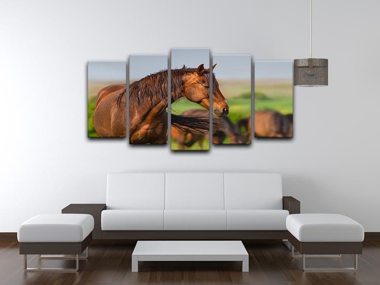 Portrait of red horse in herd on spring pasture 5 Split Panel Canvas - Canvas Art Rocks - 3
