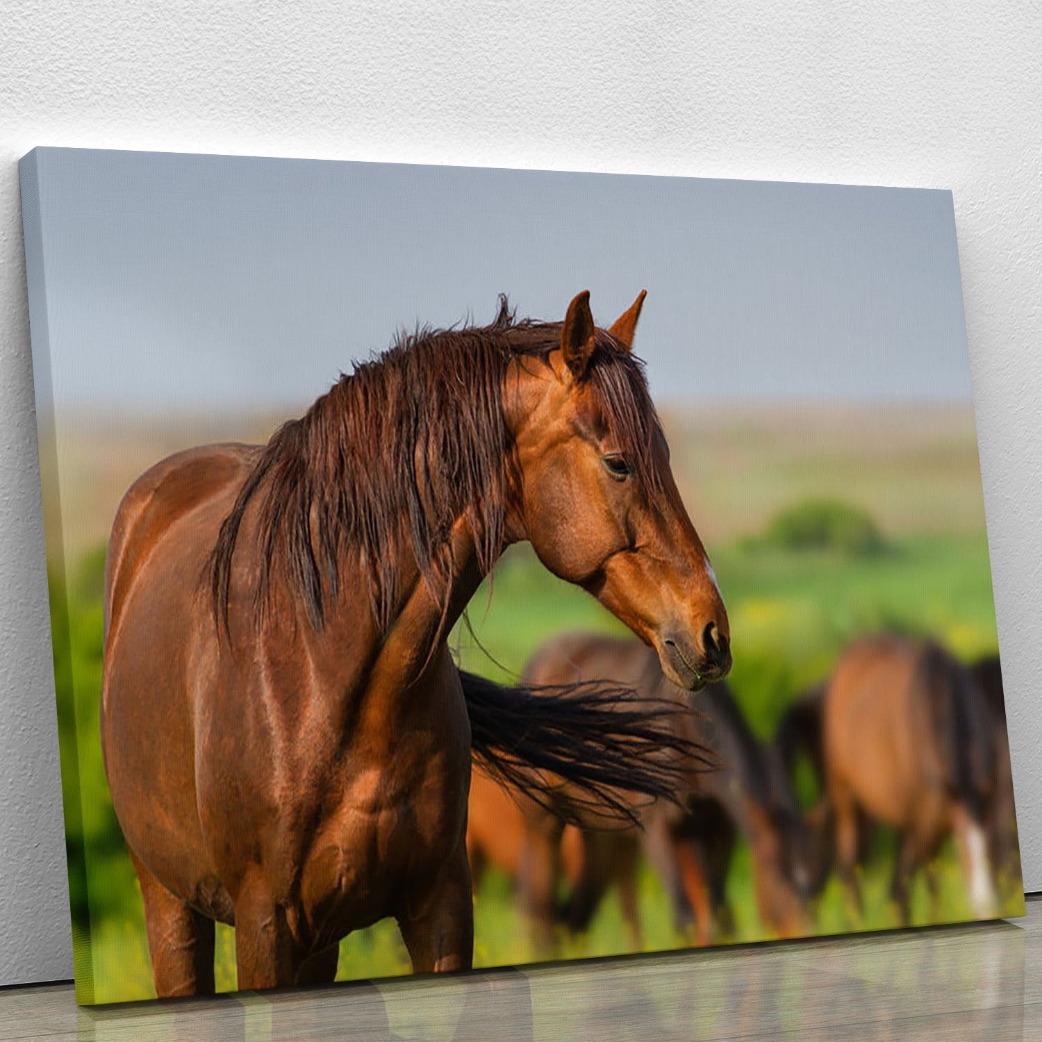 Portrait of red horse in herd on spring pasture Canvas Print or Poster