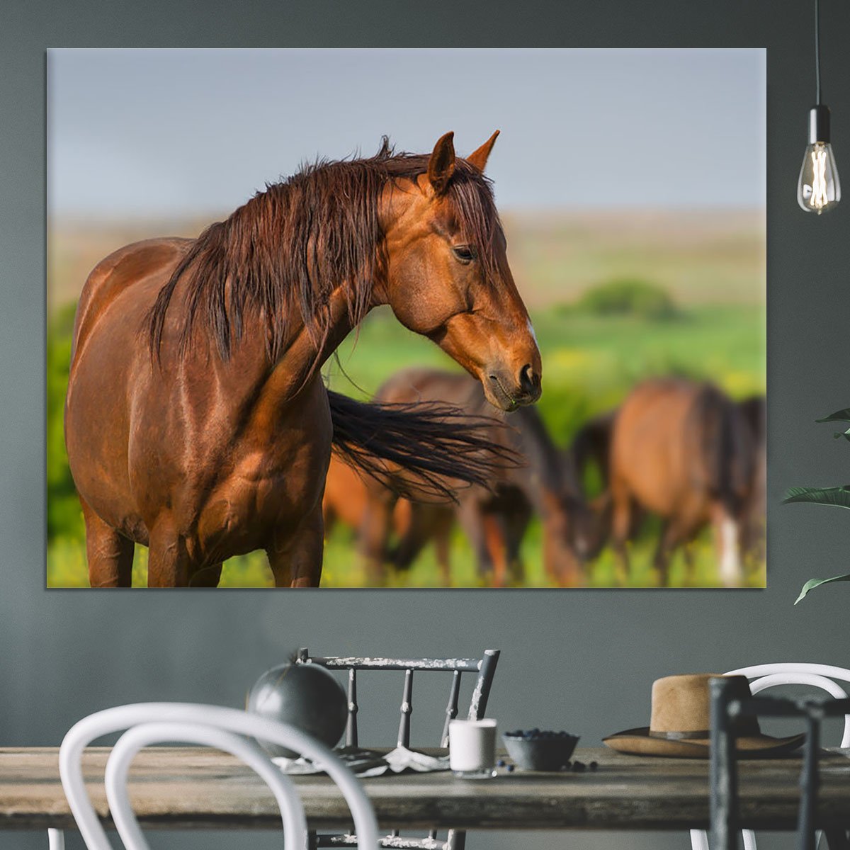 Portrait of red horse in herd on spring pasture Canvas Print or Poster