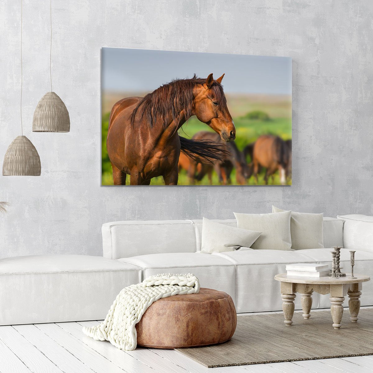 Portrait of red horse in herd on spring pasture Canvas Print or Poster