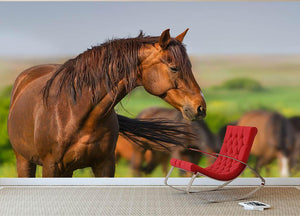 Portrait of red horse in herd on spring pasture Wall Mural Wallpaper - Canvas Art Rocks - 2