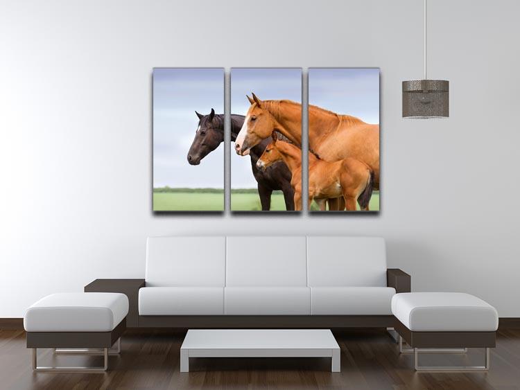 Portrait of two mares and foal at pasture 3 Split Panel Canvas Print - Canvas Art Rocks - 3