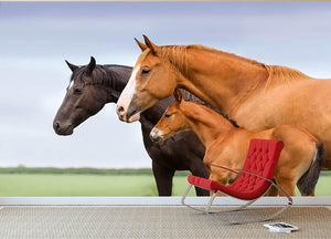 Portrait of two mares and foal at pasture Wall Mural Wallpaper - Canvas Art Rocks - 2