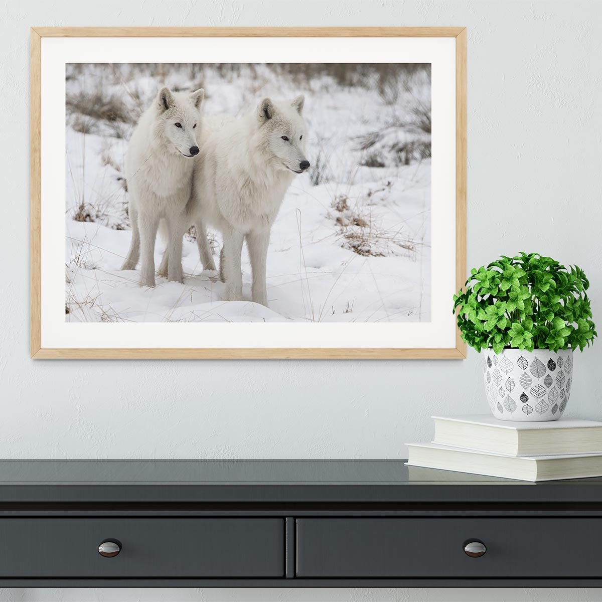 Portrait of two white watchful arctic wolfs Framed Print - Canvas Art Rocks - 3
