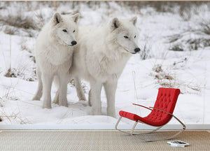 Portrait of two white watchful arctic wolfs Wall Mural Wallpaper - Canvas Art Rocks - 2