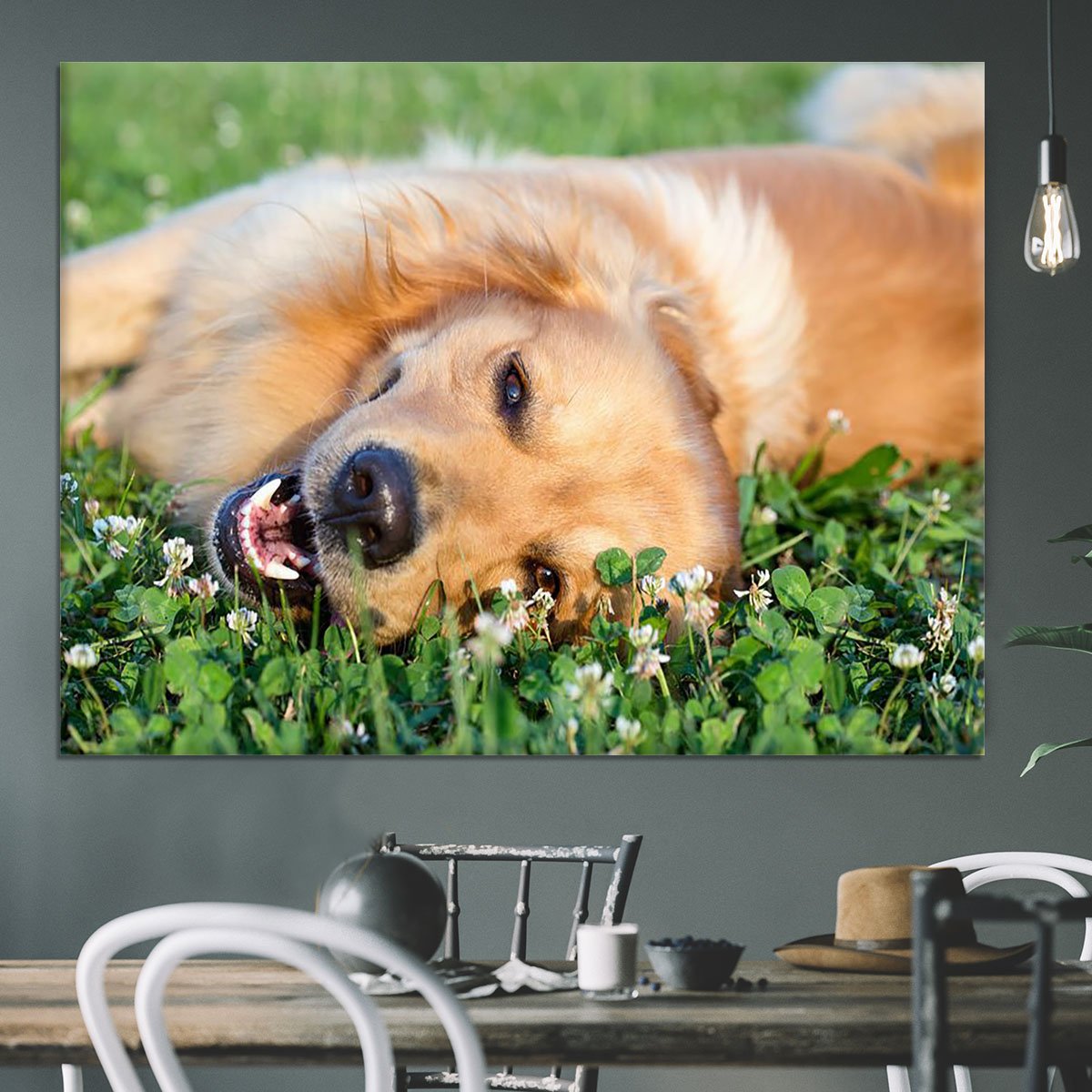 Portrait young dog playing in the meadow Canvas Print or Poster