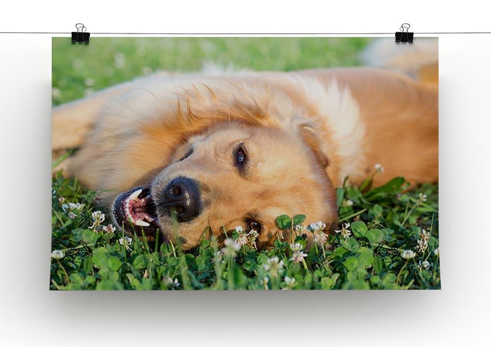 Portrait young dog playing in the meadow Canvas Print or Poster - Canvas Art Rocks - 2