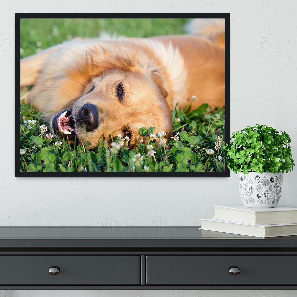 Portrait young dog playing in the meadow Framed Print - Canvas Art Rocks - 2