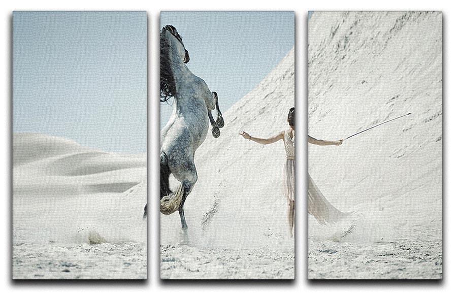 Pretty lady with white horse on the desert 3 Split Panel Canvas Print - Canvas Art Rocks - 1