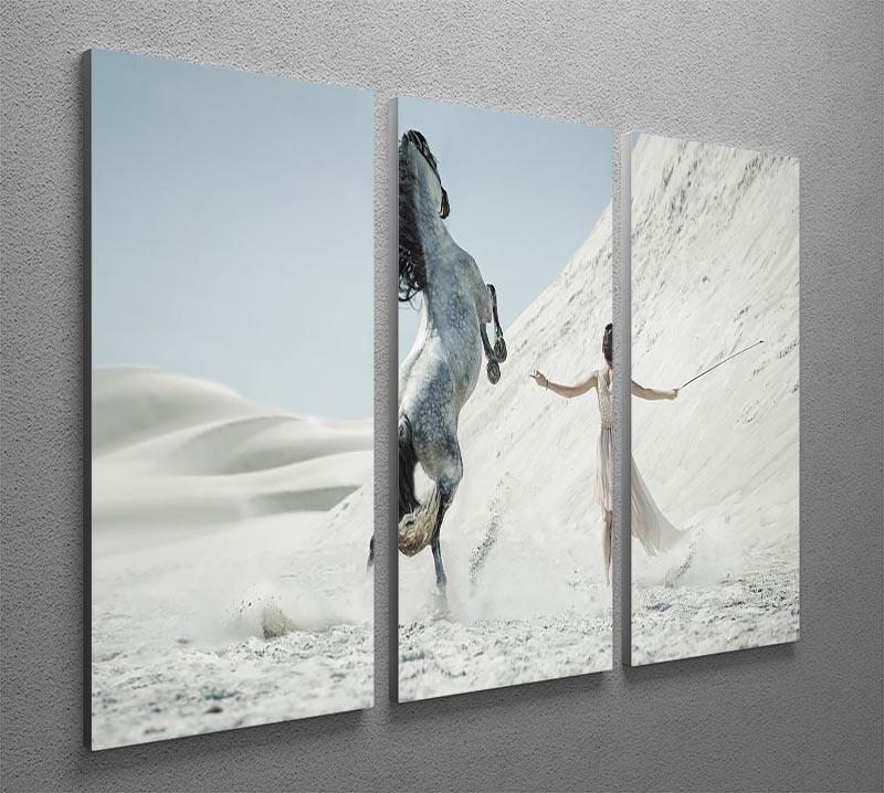Pretty lady with white horse on the desert 3 Split Panel Canvas Print - Canvas Art Rocks - 2