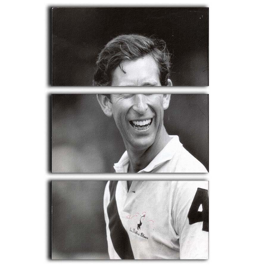 Prince Charles at New Years polo at Cowdray Park 3 Split Panel Canvas Print - Canvas Art Rocks - 1