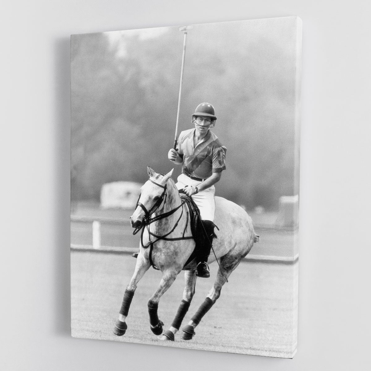 Prince Charles in action on the polo field Canvas Print or Poster