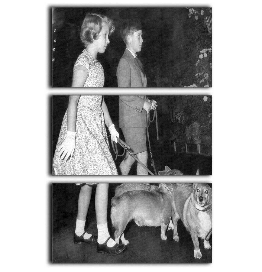 Prince Charles with Princess Anne as children with pet dogs 3 Split Panel Canvas Print - Canvas Art Rocks - 1