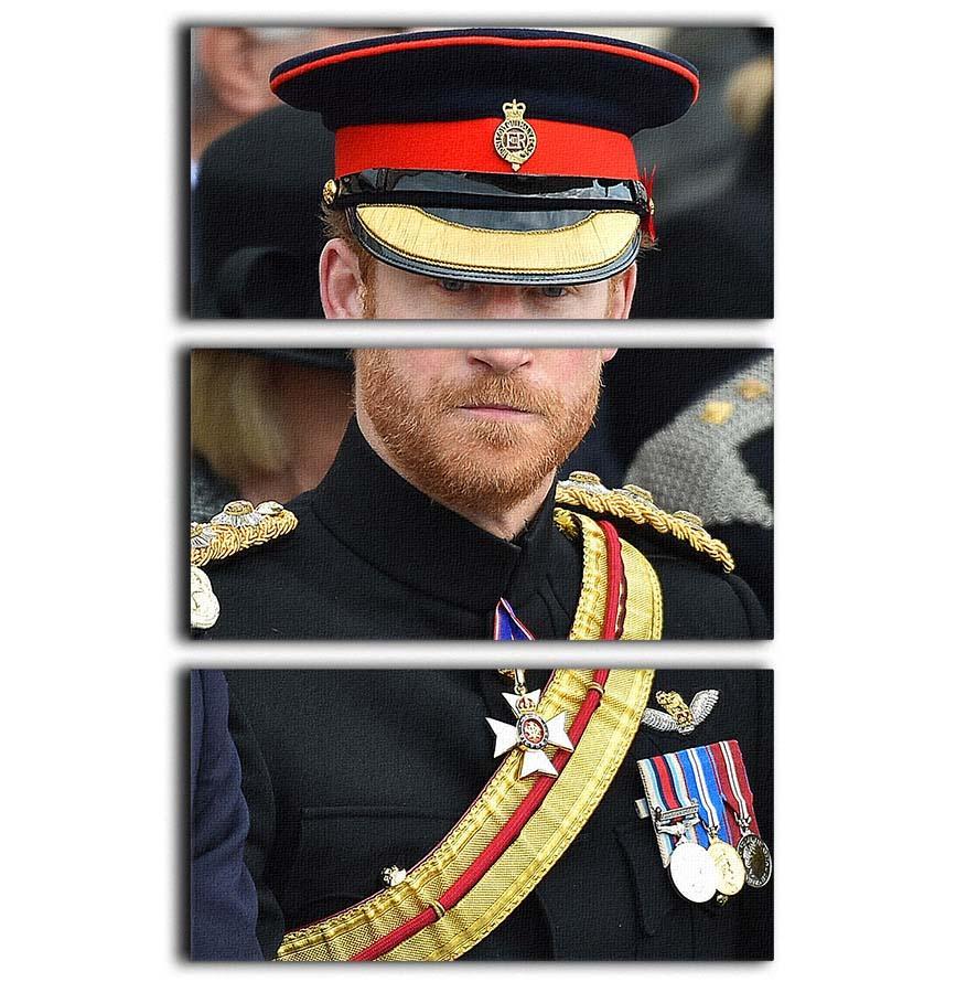 Prince Harry in uniform during ceremonies in Staffordshire 3 Split Panel Canvas Print - Canvas Art Rocks - 1