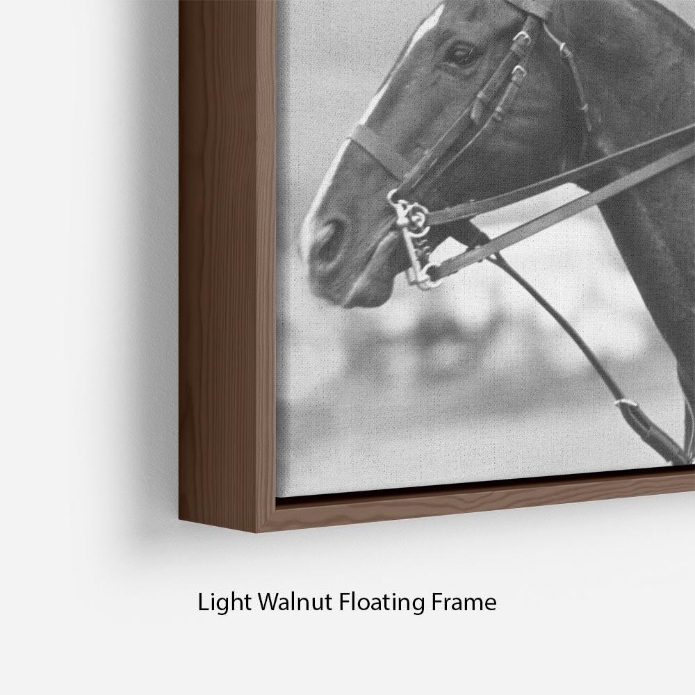 Prince Philip shown winning the polo Gold Cup Floating Frame Canvas