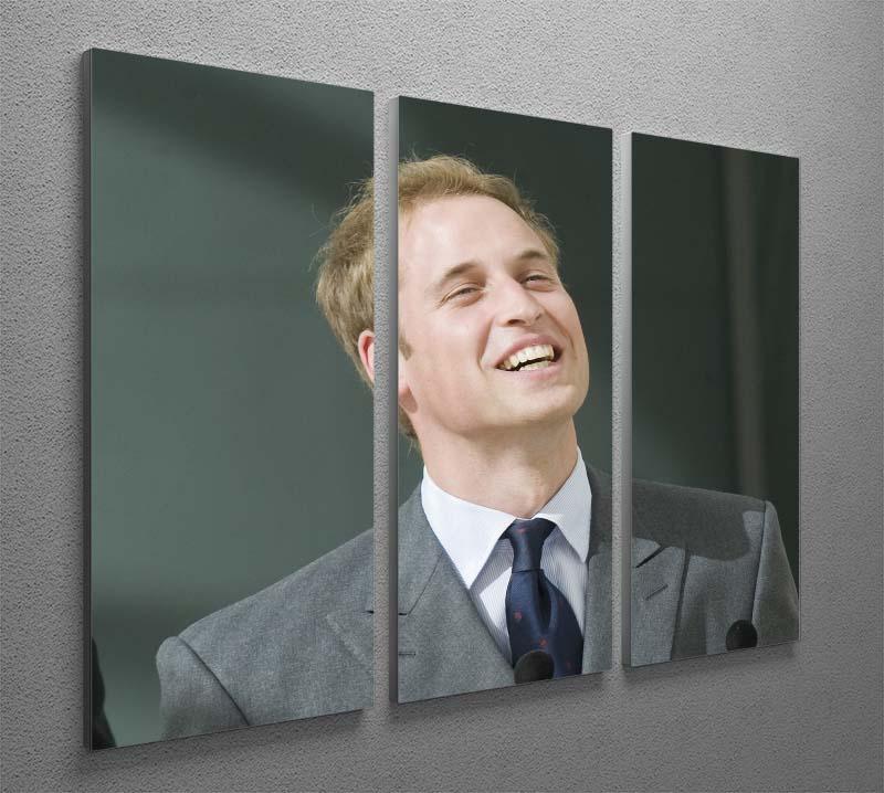 Prince William opening the Darwin Centre Museum 3 Split Panel Canvas Print - Canvas Art Rocks - 2