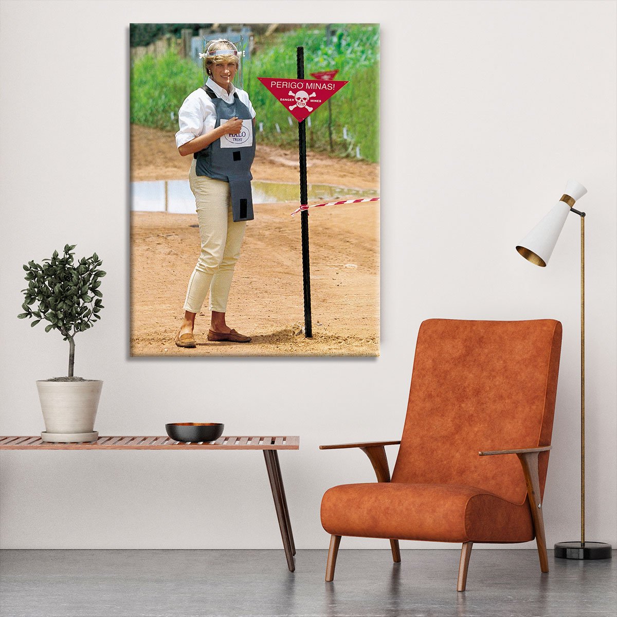 Princes Diana at a mine field in Angola for a Red Cross visit Canvas Print or Poster