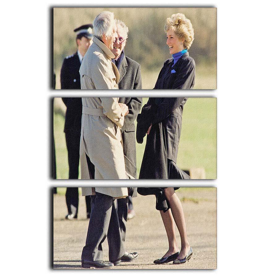 Princess Diana laughing 3 Split Panel Canvas Print - Canvas Art Rocks - 1