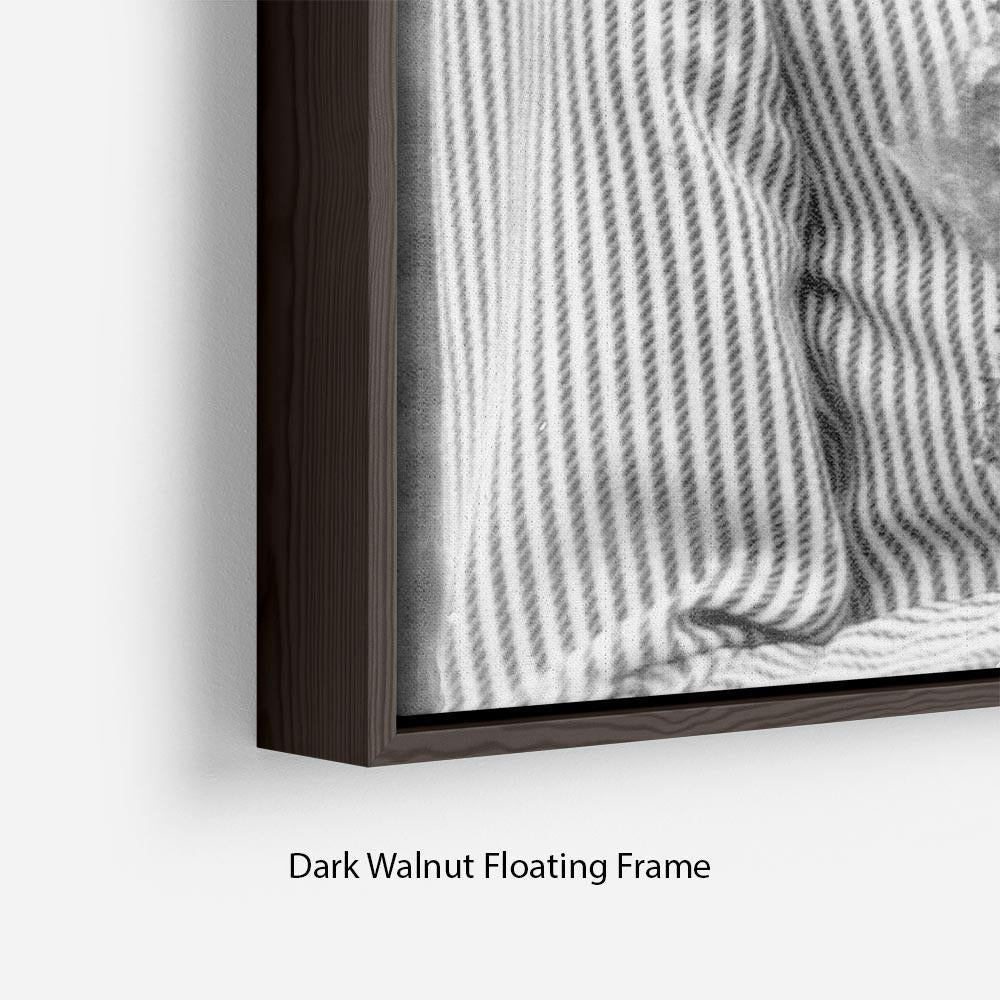 Princess Diana walkabout in Puckapunyal near Melbourne Floating Frame Canvas