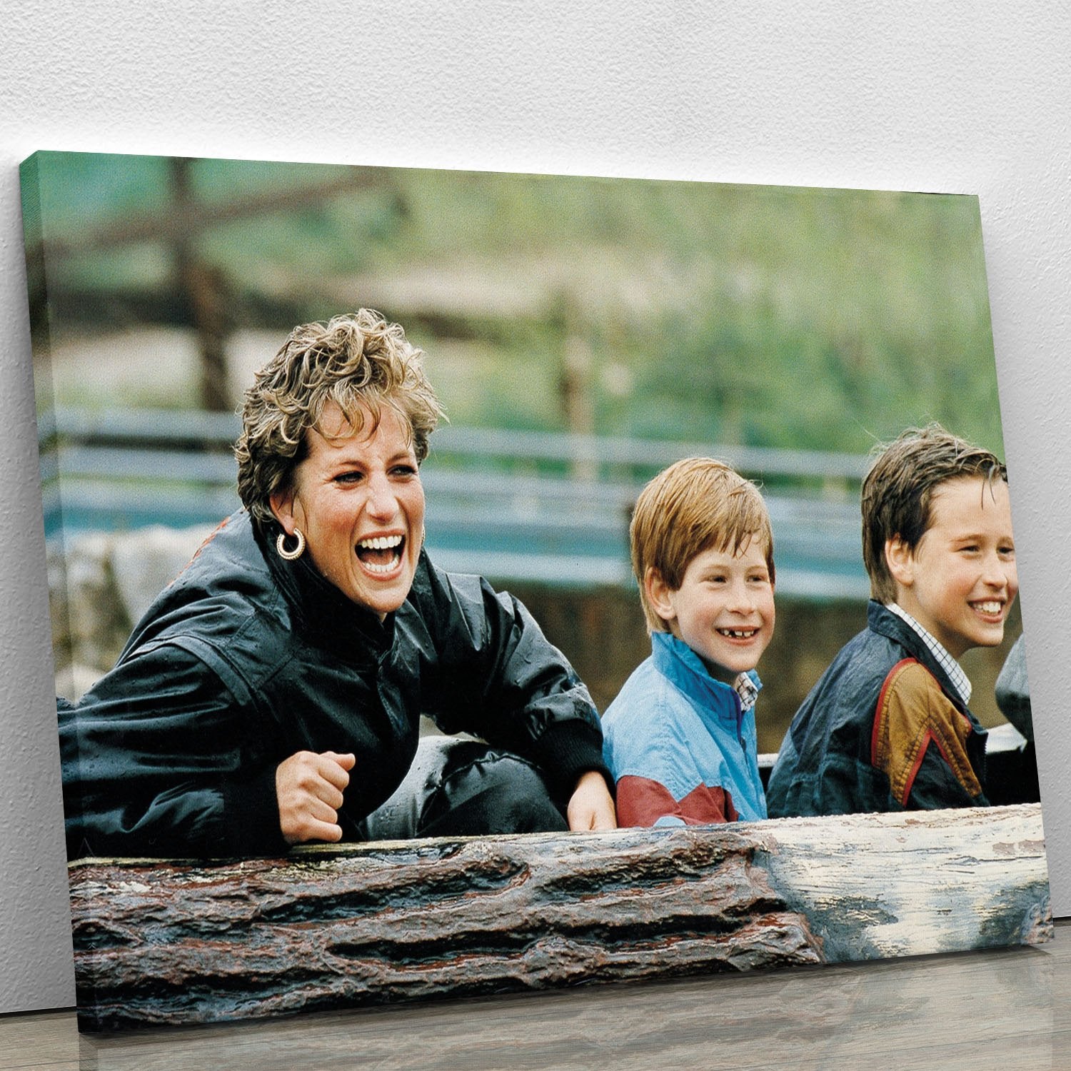 Princess Diana with Prince William and Prince Harry on ride Canvas Print or Poster
