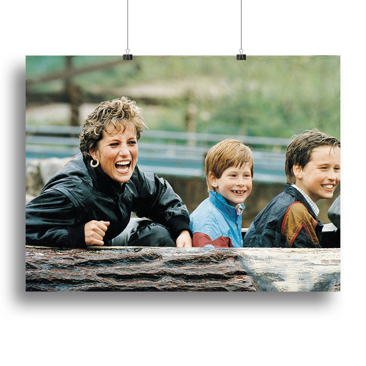 Princess Diana with Prince William and Prince Harry on ride Canvas Print or Poster