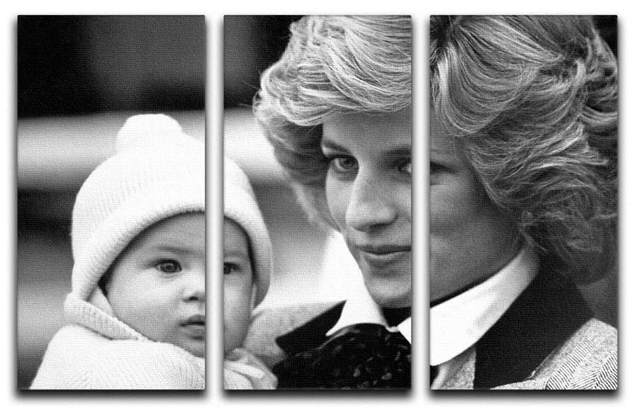 Princess Diana with six month old Prince Harry 3 Split Panel Canvas Print - Canvas Art Rocks - 1