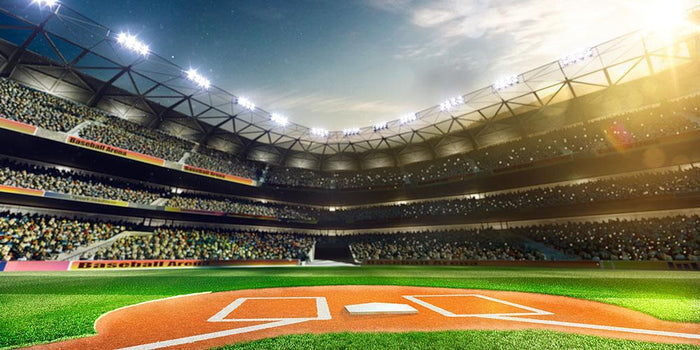 Professional baseball grand arena Wall Mural Wallpaper