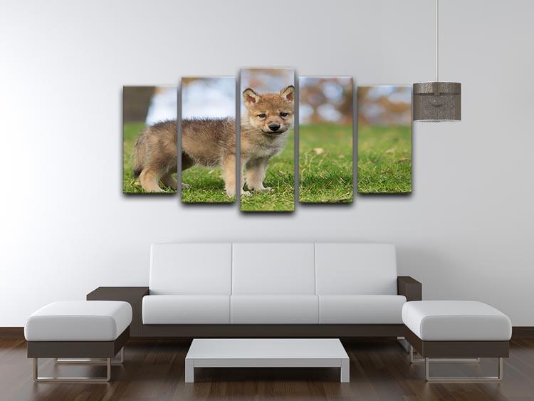 Profile image of a young gray wolf pup 5 Split Panel Canvas - Canvas Art Rocks - 3
