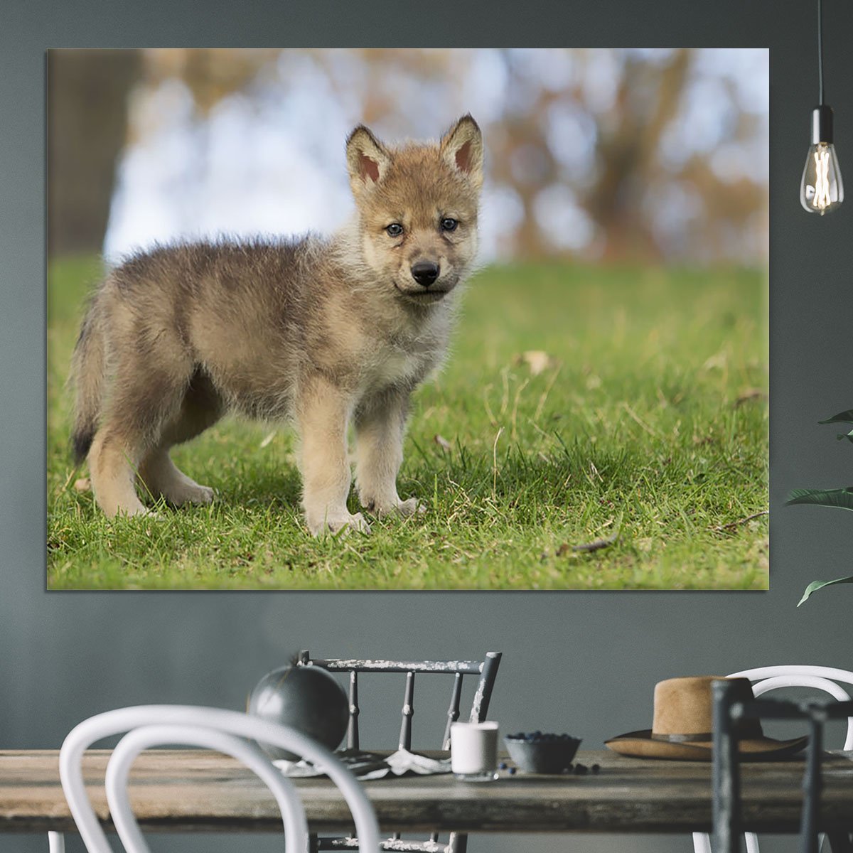 Profile image of a young gray wolf pup Canvas Print or Poster