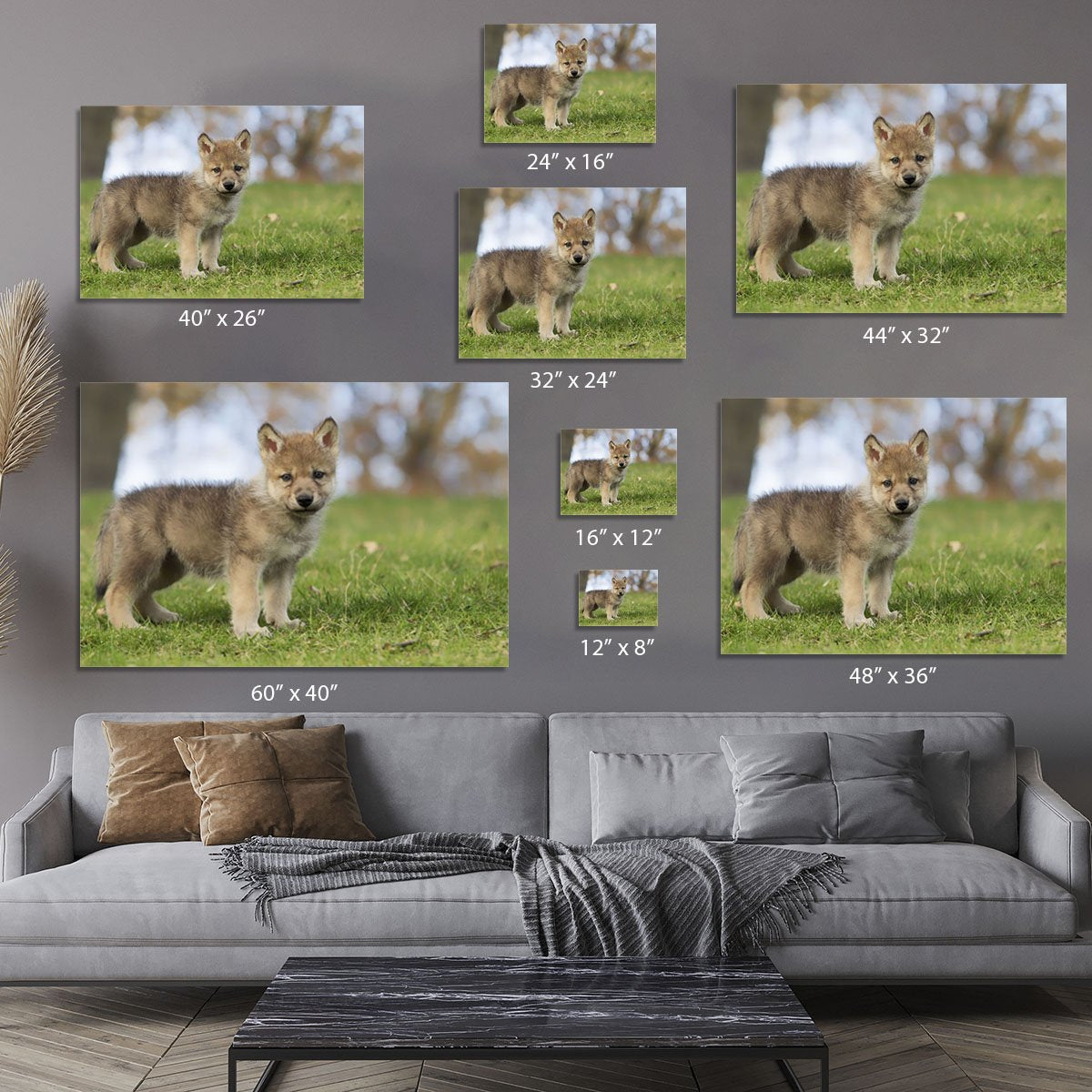 Profile image of a young gray wolf pup Canvas Print or Poster