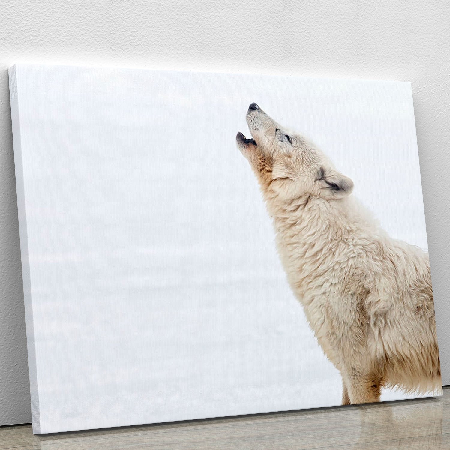 Profile of an arctic wolf howling Canvas Print or Poster