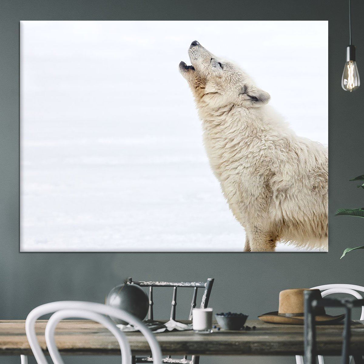 Profile of an arctic wolf howling Canvas Print or Poster