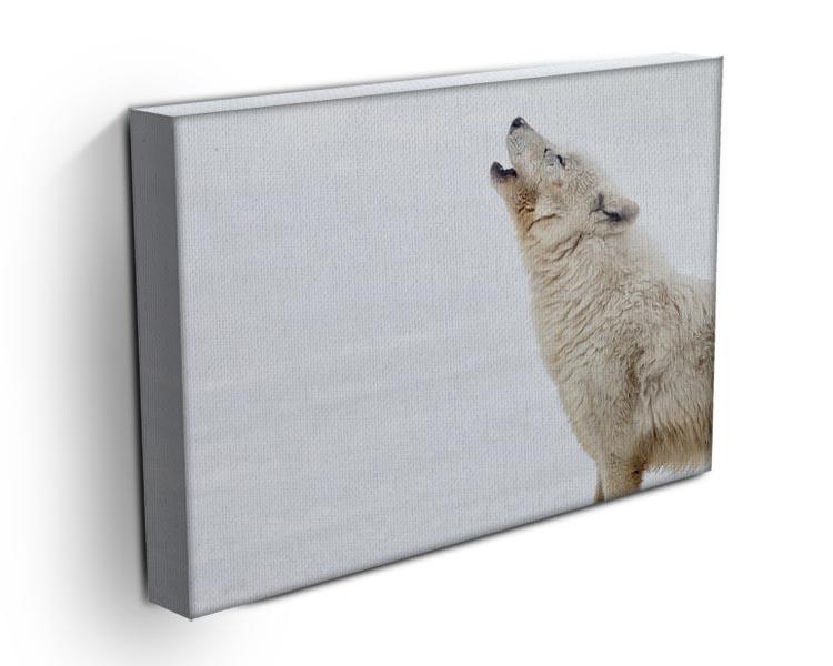 Profile of an arctic wolf howling Canvas Print or Poster - Canvas Art Rocks - 3