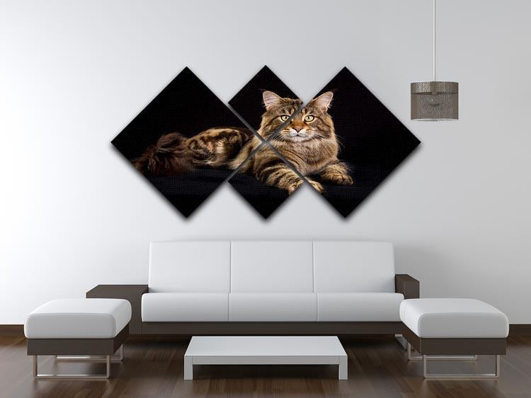 Purebred Maine Coon cat 4 Square Multi Panel Canvas - Canvas Art Rocks - 3