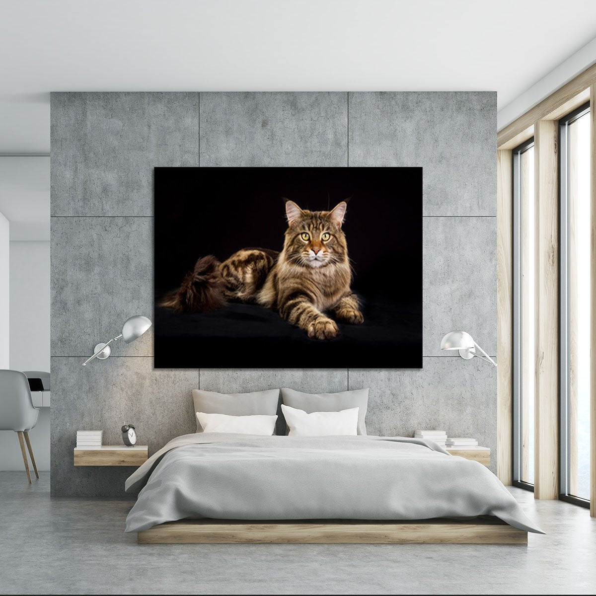 Purebred Maine Coon cat Canvas Print or Poster