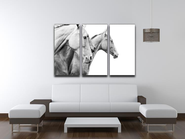 Purebred horses 3 Split Panel Canvas Print - Canvas Art Rocks - 3