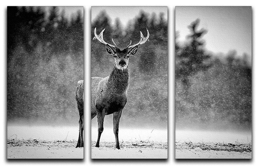 Red Deer Stag 3 Split Panel Canvas Print - Canvas Art Rocks - 1