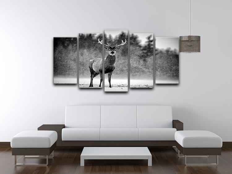 Red Deer Stag 5 Split Panel Canvas - Canvas Art Rocks - 3