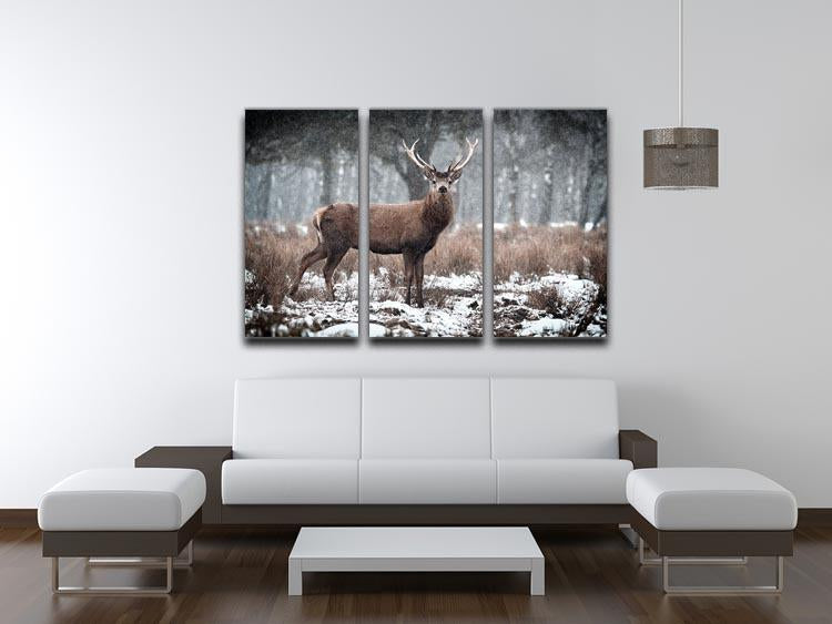 Red Deer Stag Cervus elaphus in the Scottish Winter Snow 3 Split Panel Canvas Print - Canvas Art Rocks - 3