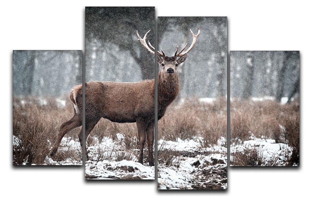 Red Deer Stag Cervus elaphus in the Scottish Winter Snow 4 Split Panel Canvas - Canvas Art Rocks - 1