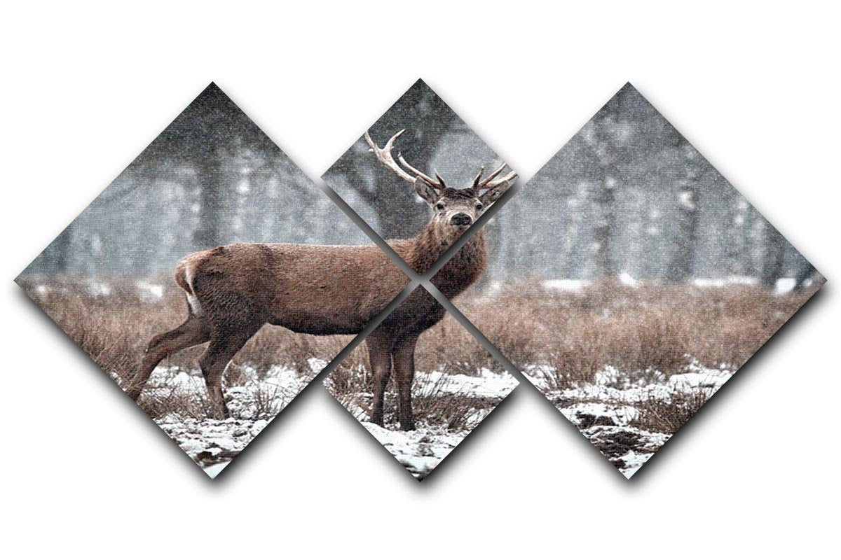 Red Deer Stag Cervus elaphus in the Scottish Winter Snow 4 Square Multi Panel Canvas - Canvas Art Rocks - 1