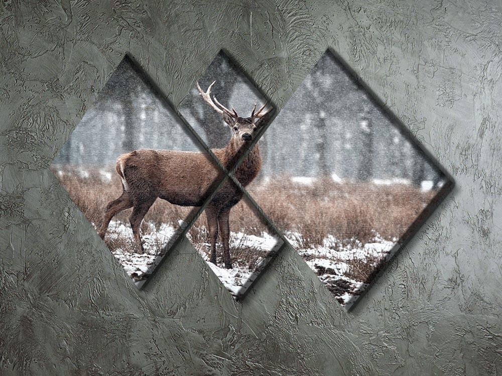 Red Deer Stag Cervus elaphus in the Scottish Winter Snow 4 Square Multi Panel Canvas - Canvas Art Rocks - 2