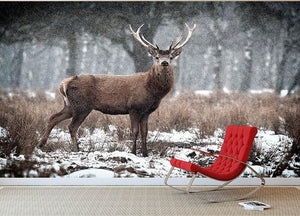 Red Deer Stag Cervus elaphus in the Scottish Winter Snow Wall Mural Wallpaper - Canvas Art Rocks - 2