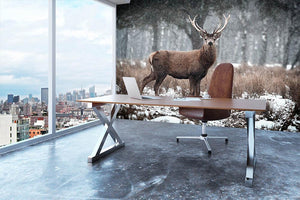 Red Deer Stag Cervus elaphus in the Scottish Winter Snow Wall Mural Wallpaper - Canvas Art Rocks - 3
