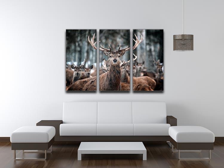 Red Deer Stag and Herd 3 Split Panel Canvas Print - Canvas Art Rocks - 3