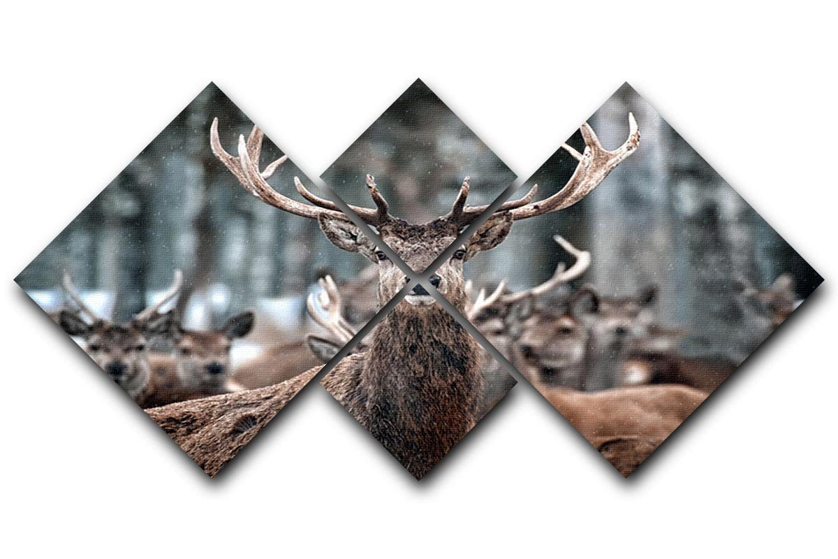 Red Deer Stag and Herd 4 Square Multi Panel Canvas - Canvas Art Rocks - 1